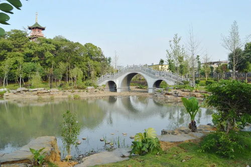 钟山公园增加 唐代文化 ,打造中国古典园林艺术